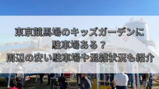 東京競馬場　キッズガーデン　駐車場　周辺　安い　混雑